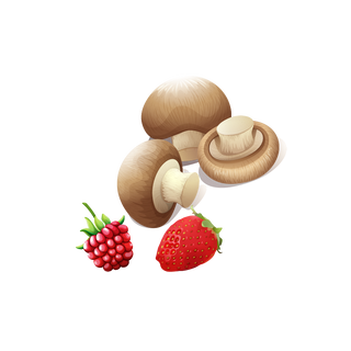 VERDURAS Y FRUTAS CONGELADOS