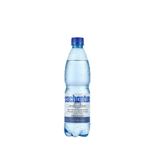 Agua gasificada Cachantún 500 ml
