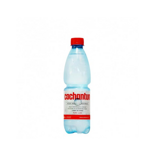 Agua Sin Gas Cachantún 500 ml