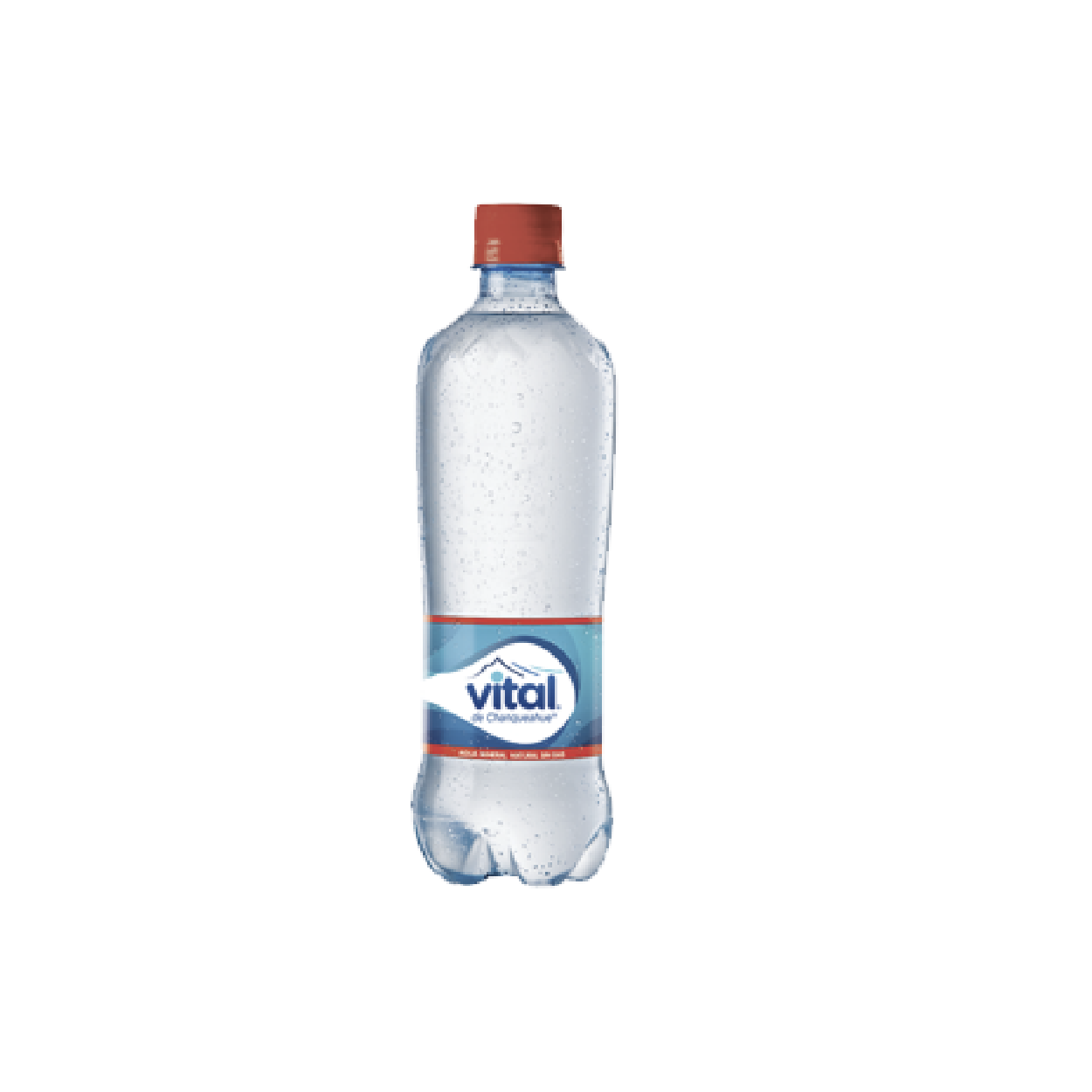 Agua mineral sin gas Vital 600 cc